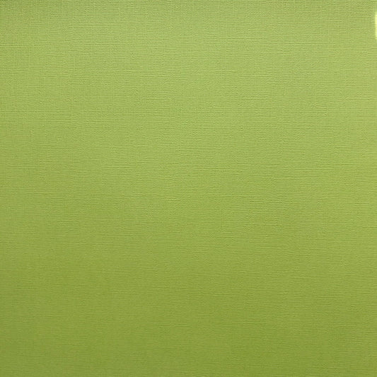 Encore 12x12 Cardstock - Canvas - Green Tomato