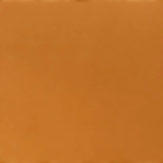 Encore 12x12 Cardstock - Smooth - Apricot Jam