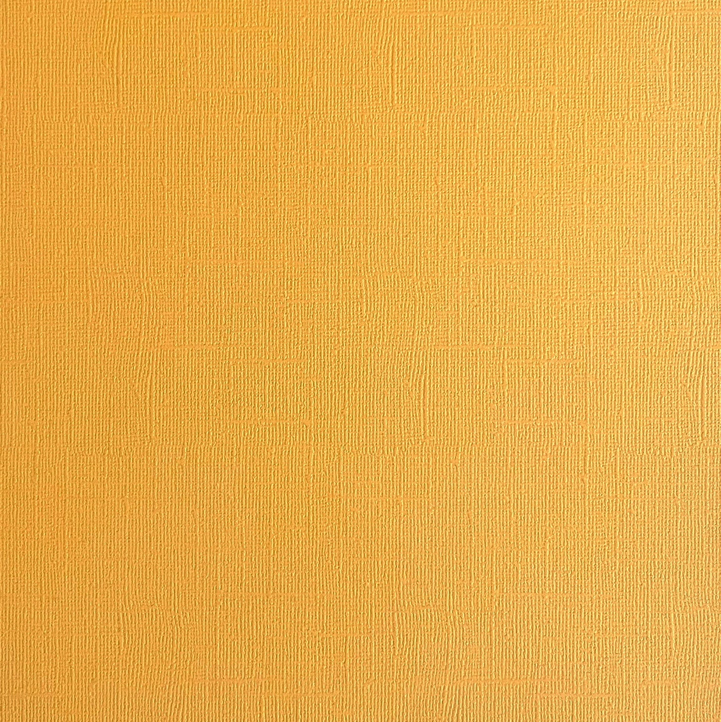 Encore 12x12 Cardstock - Canvas - Beehive