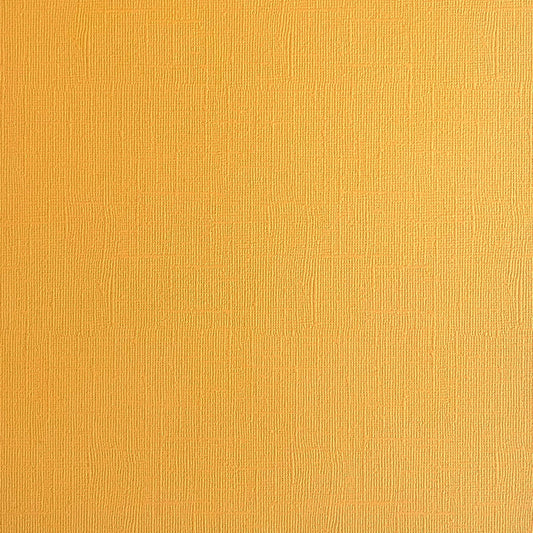 Encore 12x12 Cardstock - Canvas - Beehive