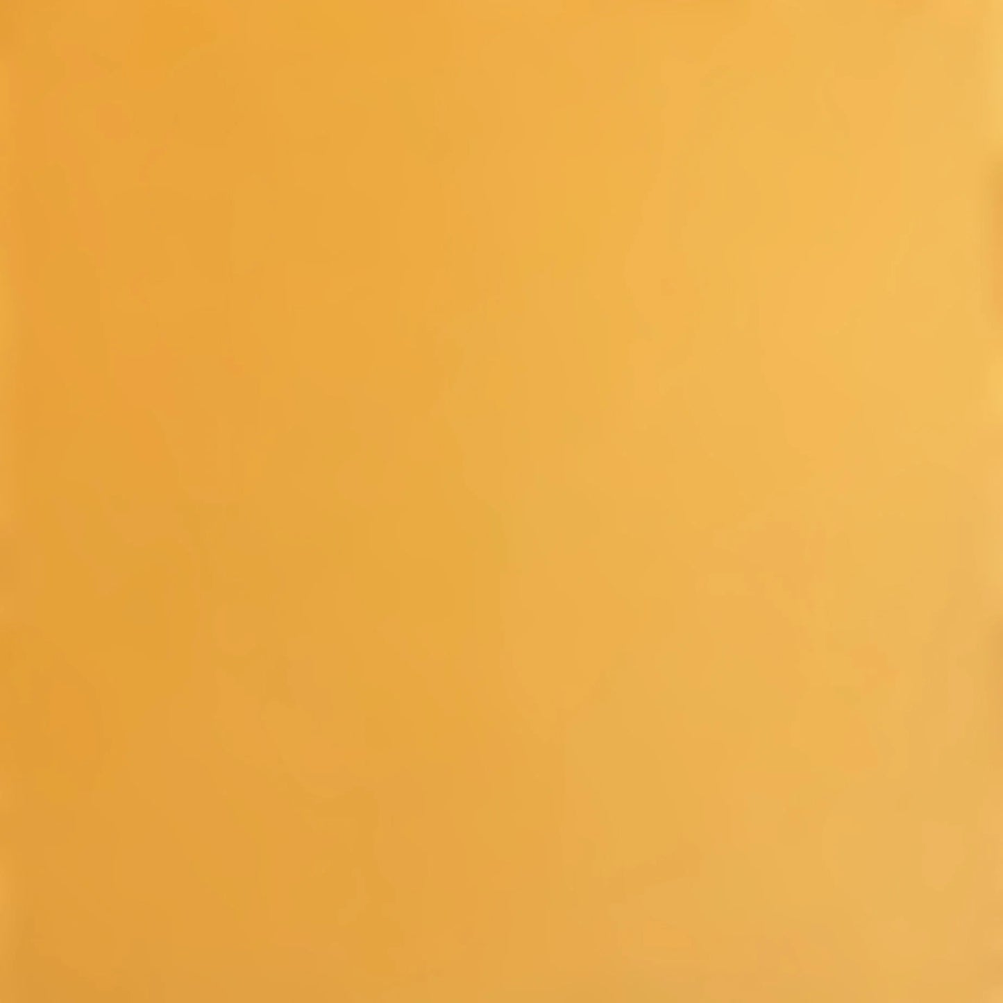 Encore 12x12 Cardstock - Smooth - Beehive