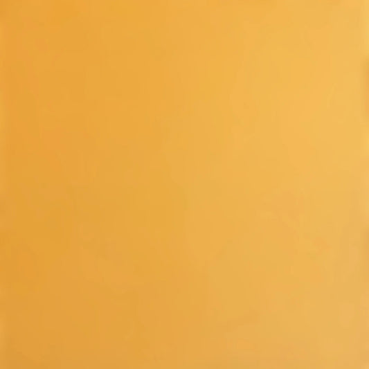Encore 12x12 Cardstock - Smooth - Beehive