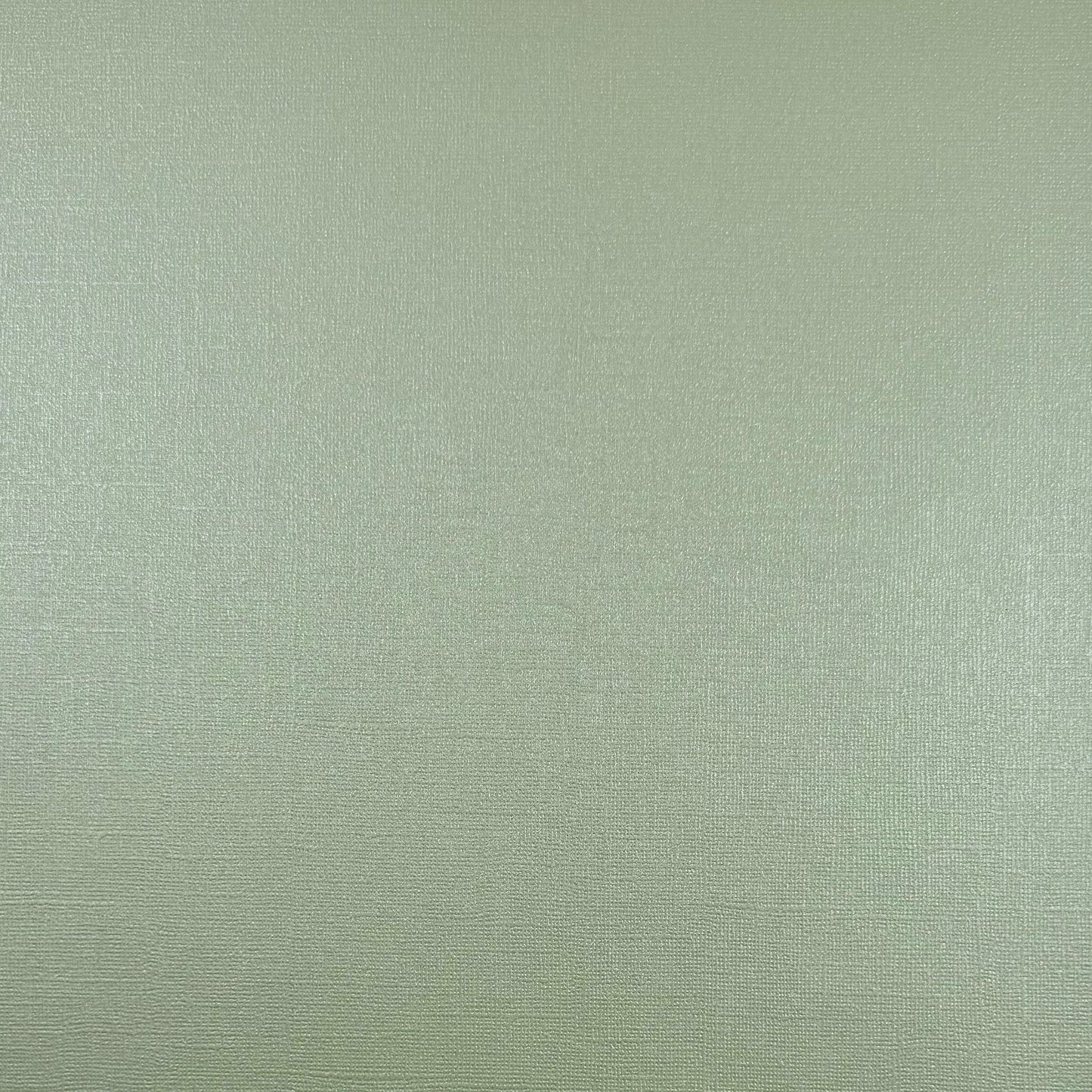 Encore 12x12 Cardstock - Shimmer Textured - Iced Mint