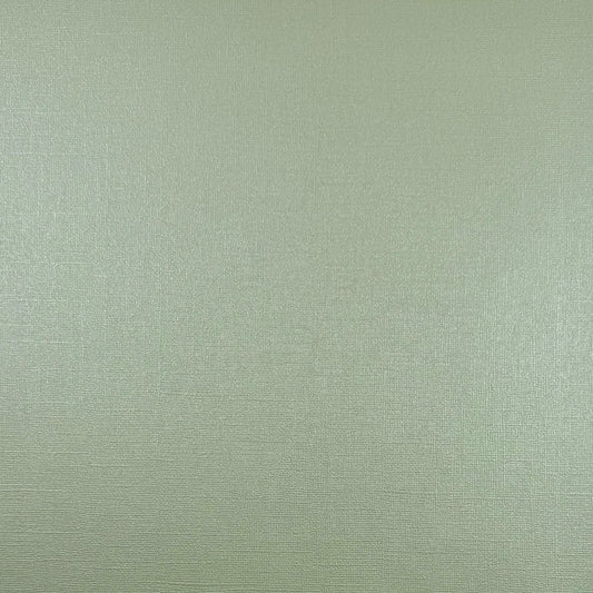 Encore 12x12 Cardstock - Shimmer Textured - Iced Mint