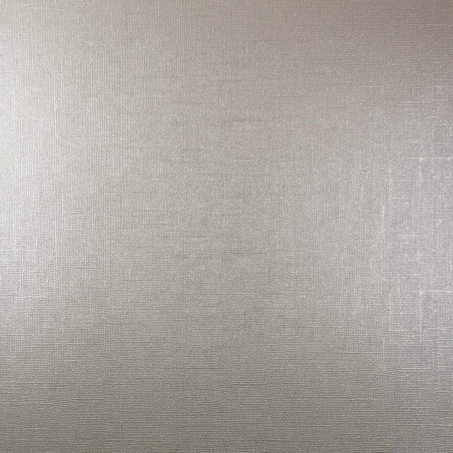 Encore 12x12 Cardstock - Shimmer Textured - Crystal Rock