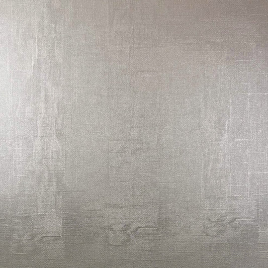 Encore 12x12 Cardstock - Shimmer Textured - Crystal Rock