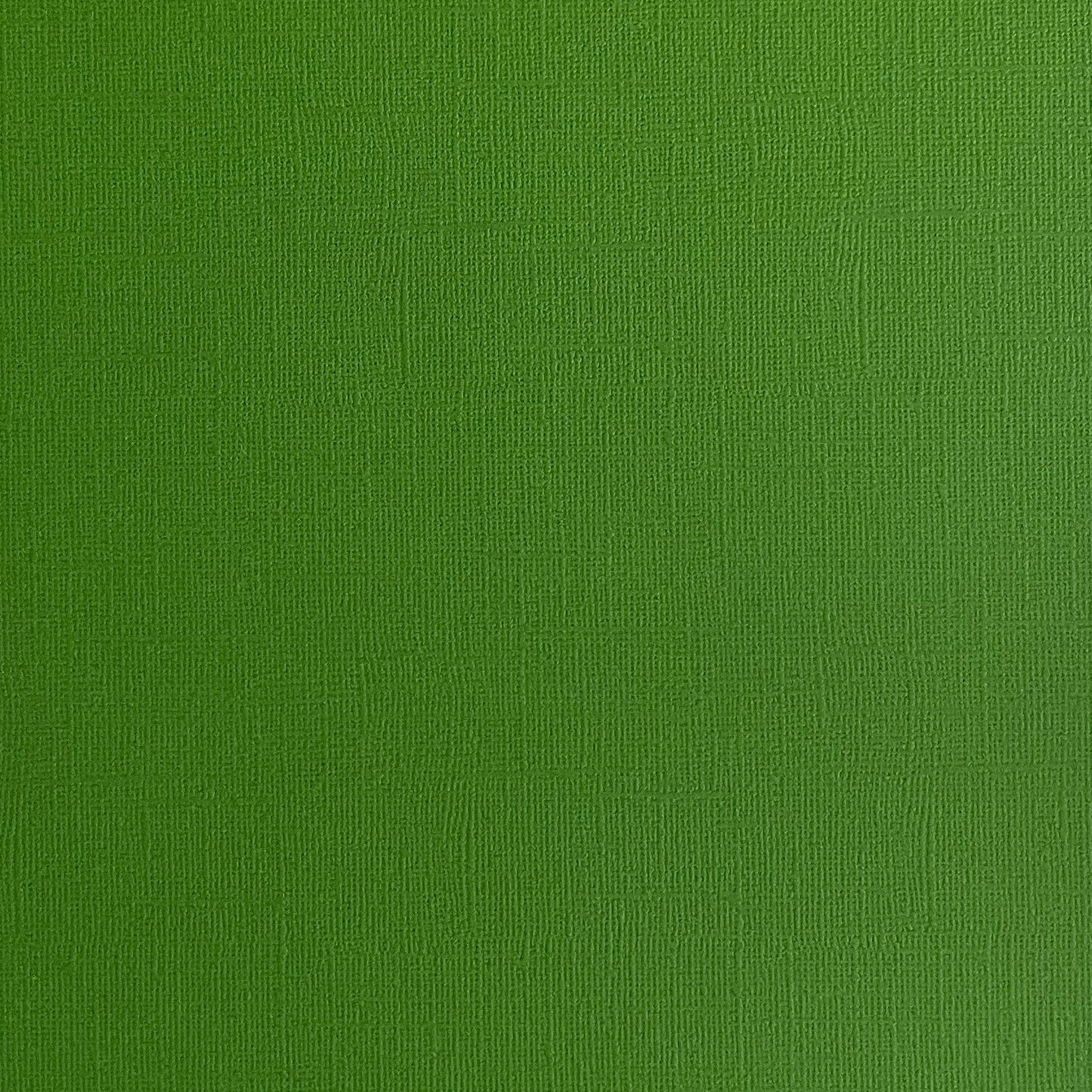 Encore 12x12 Cardstock - Canvas - Dill Pickle