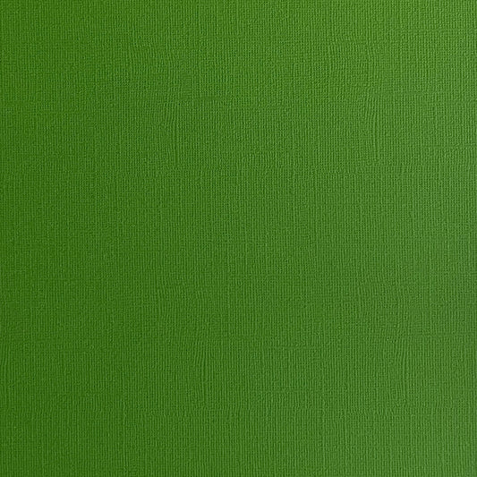 Encore 12x12 Cardstock - Canvas - Dill Pickle