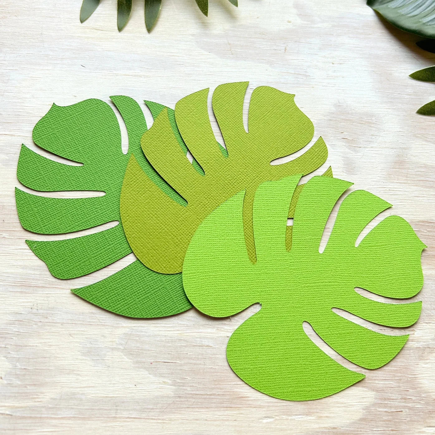 Encore 12x12 Cardstock - Canvas - Dill Pickle