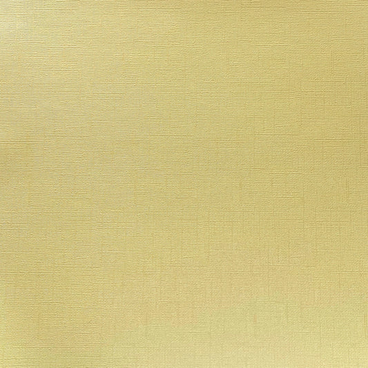 Encore 12x12 Cardstock - Shimmer Textured - Honeycomb