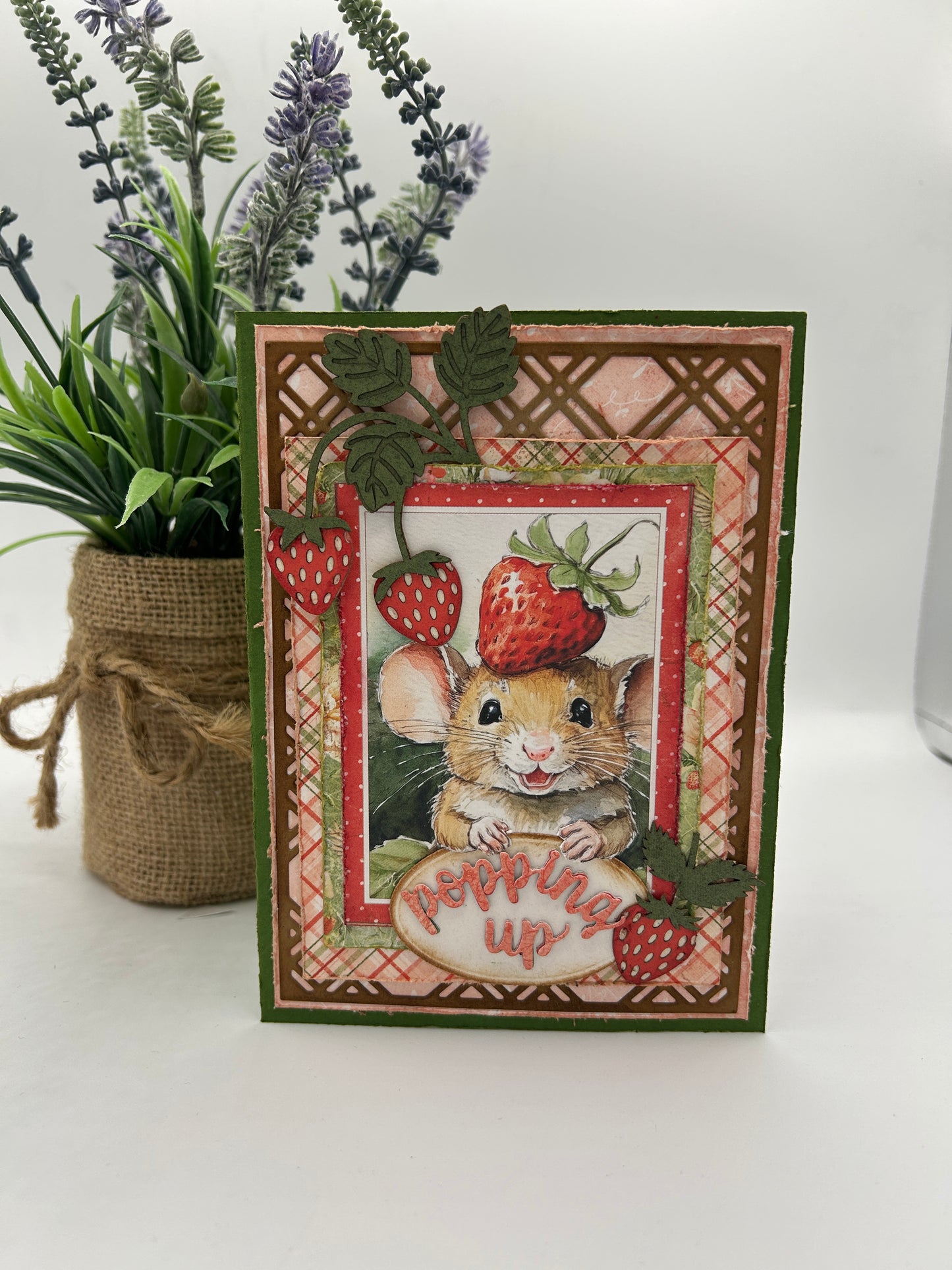 Scrapp’n Savvy - Card Kits - Strawberry Thieves - Popping up to say hello
