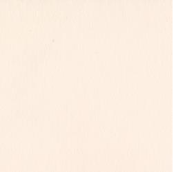 Bazzill Basics - 12x12 Pale Rose
