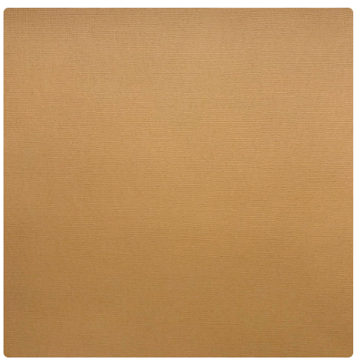 Encore 12x12 Cardstock - Canvas - Peanut Butter