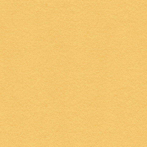 12X12 My Colors Cardstock -  Wildflower Honey