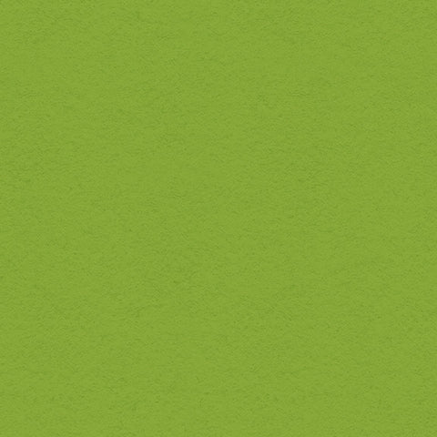 12X12 My Colors Cardstock - Crisp Green