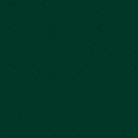 12x12 My Colors Cardstock - Forest Green