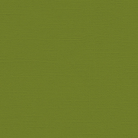 12x12 My Colors Cardstock - Spanish Moss