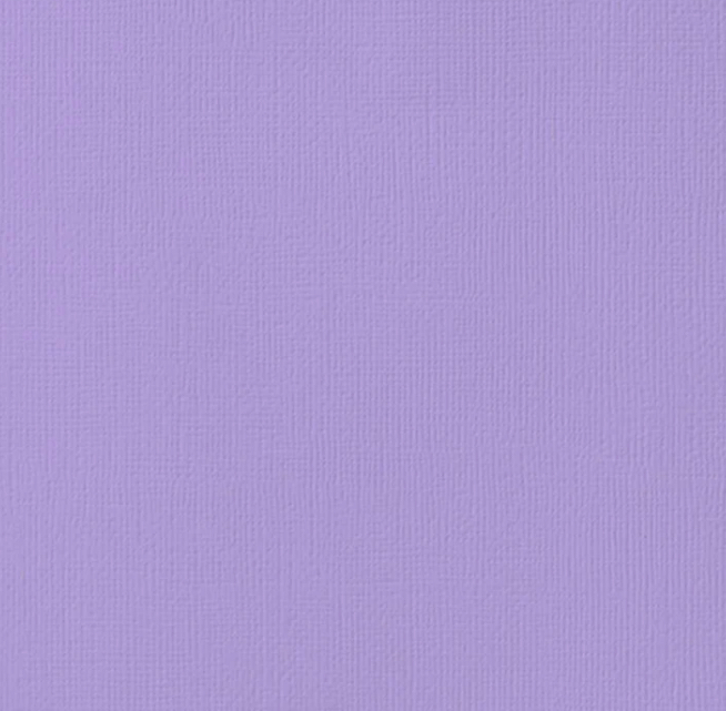 12x12 Lavender