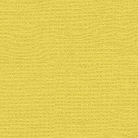 12x12 My Colors Cardstock - Fireflies